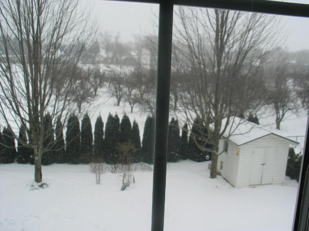 Arnica Bed & Breakfast Bed and Breakfast Niagara-on-the-Lake Εξωτερικό φωτογραφία